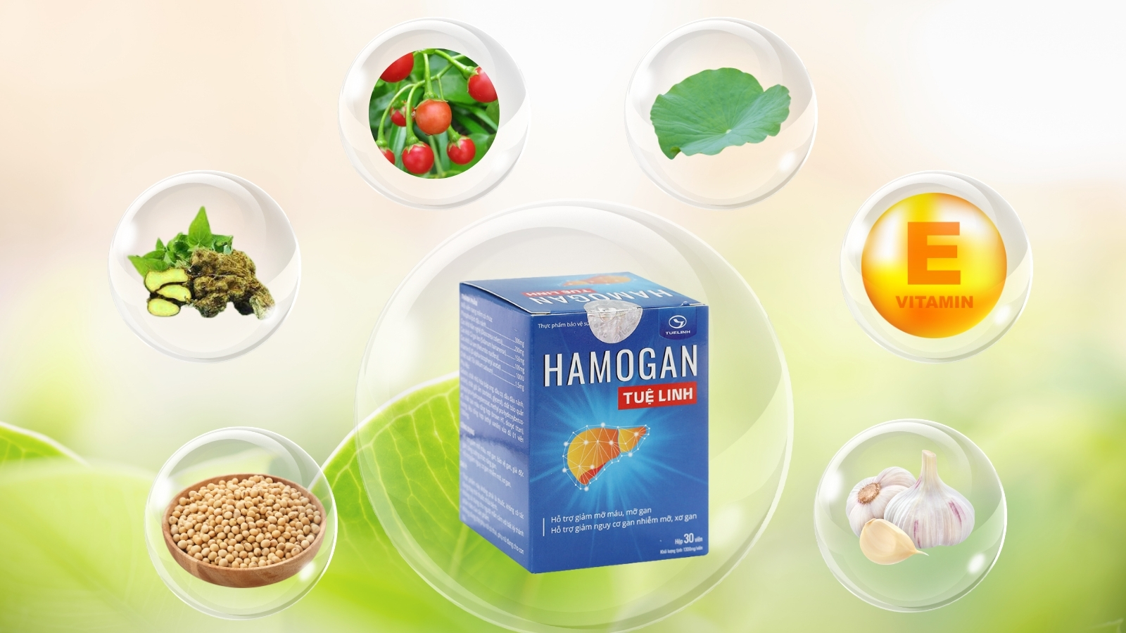 Viên uống Hamogan Tuệ Linh được sản xuất những nguồn thảo dược quý.
