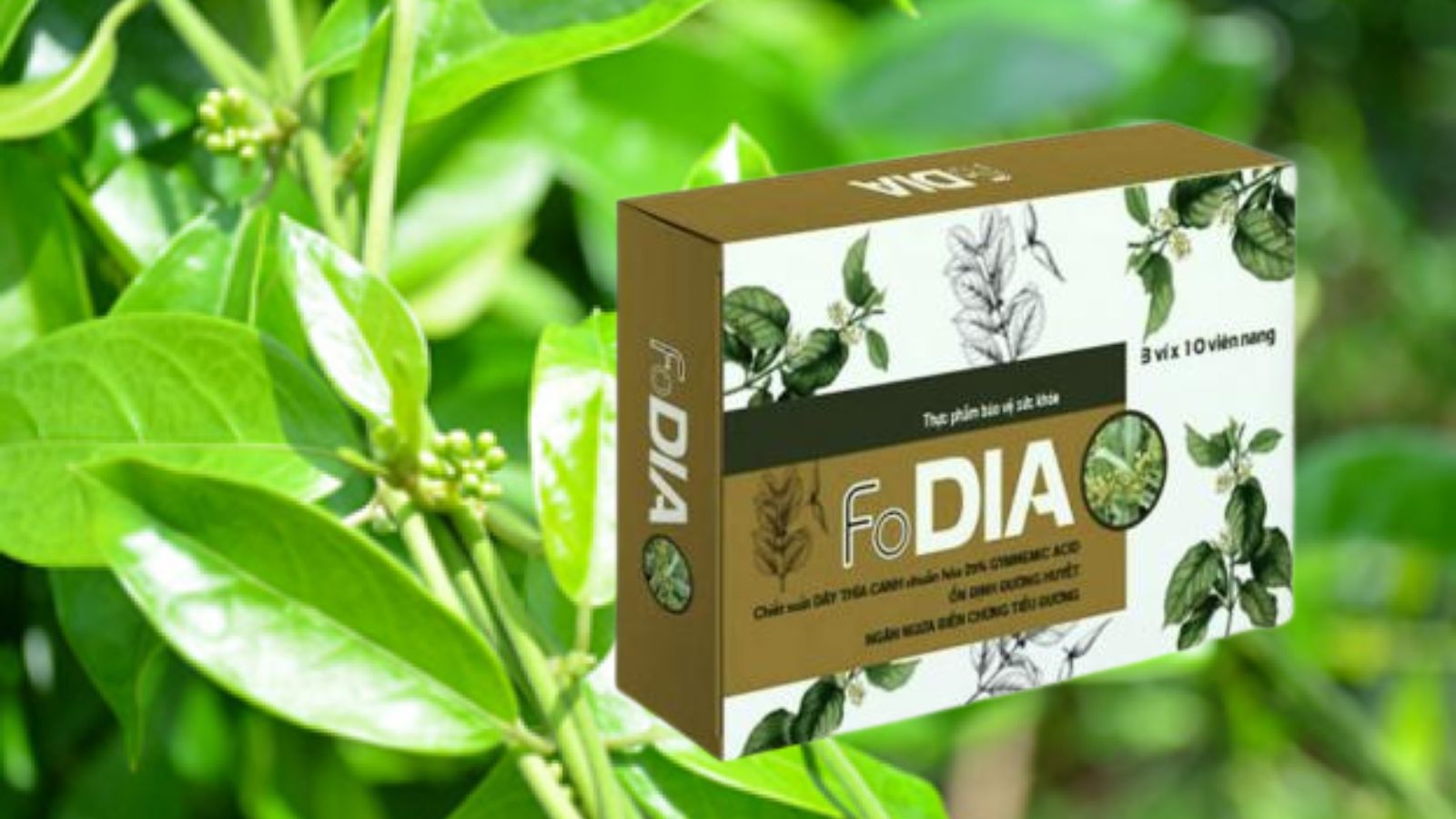 Viên uống hỗ trợ giảm đường huyết FoDIA