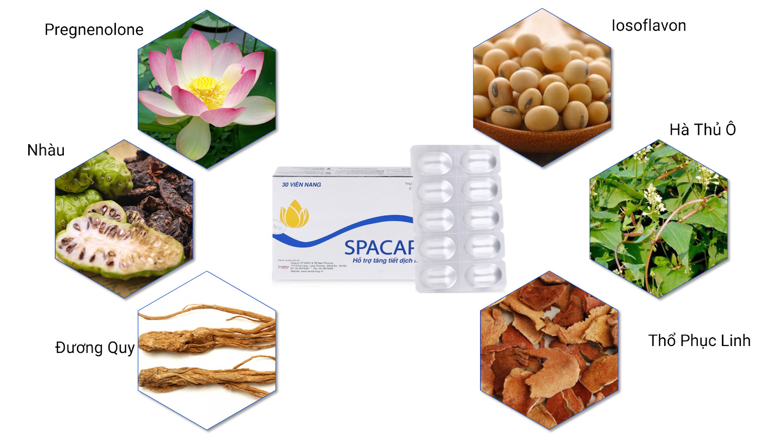 Spacaps có thành phần thiên nhiên an toàn, lành tính