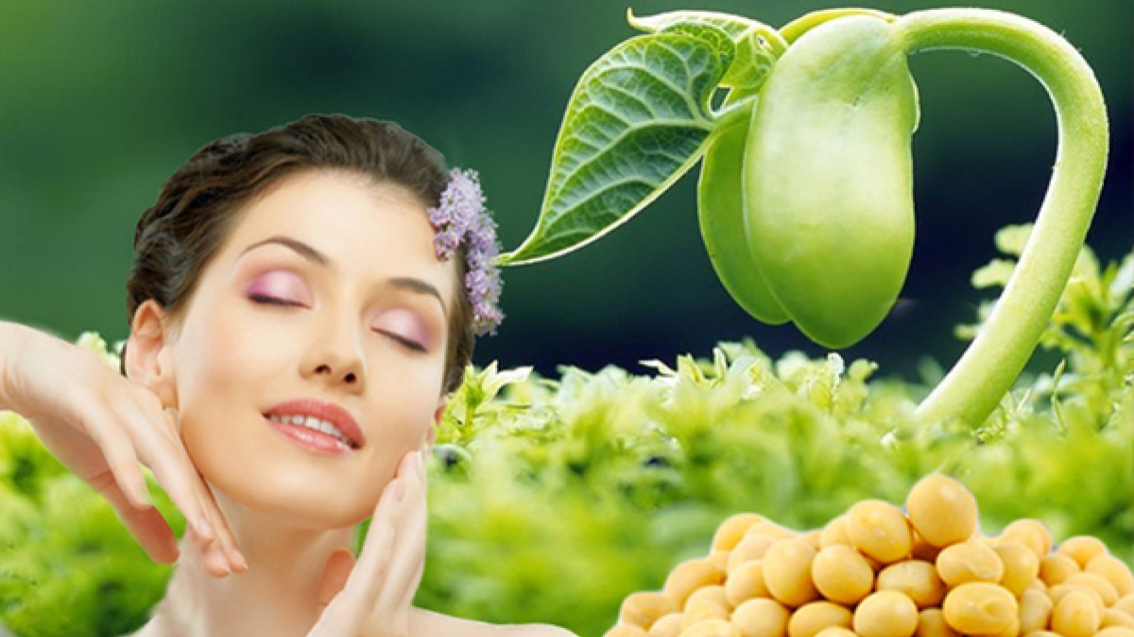 Spacaps có chứa tinh chất mầm đậu nành giúp ngăn ngừa lão hóa