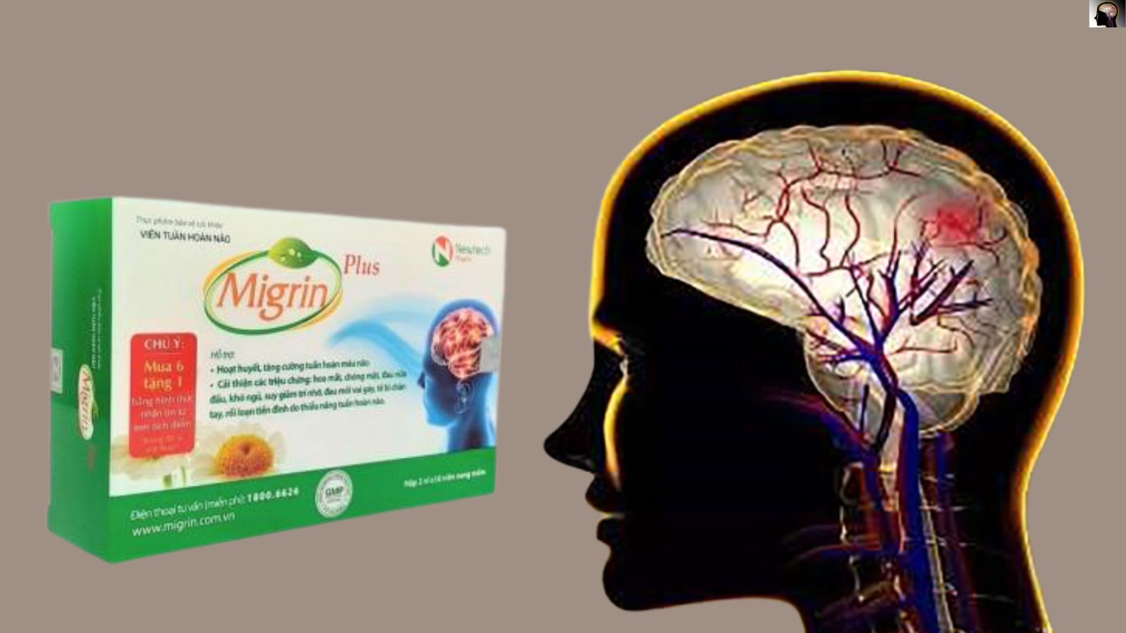 Viên uống Migrin Plus CVI Pharma - Tăng cường hoạt động não