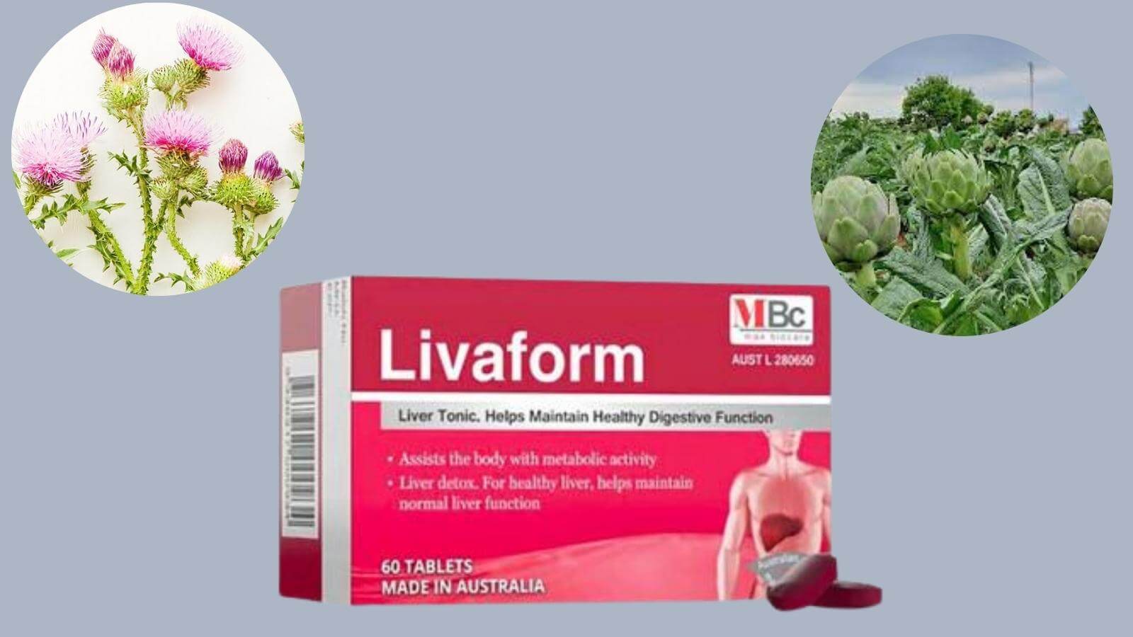Livaform - Hỗ trợ tăng cường chức năng gan