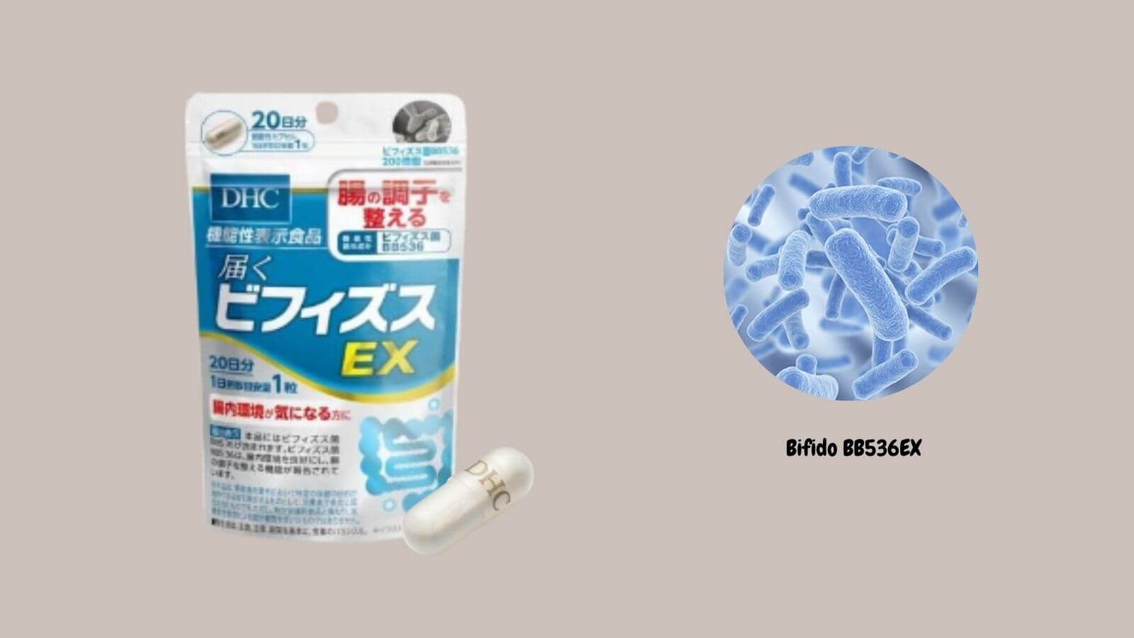 DHC Bifidus EX chứa lợi khuẩn Bifidobacteria longum BB536EX