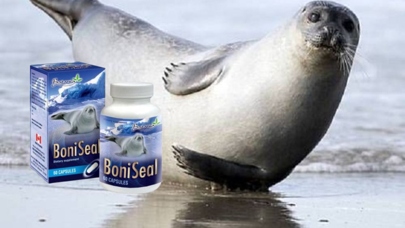 Viên Uống Tăng Cường Sinh Lý Nam Boniseal Botania