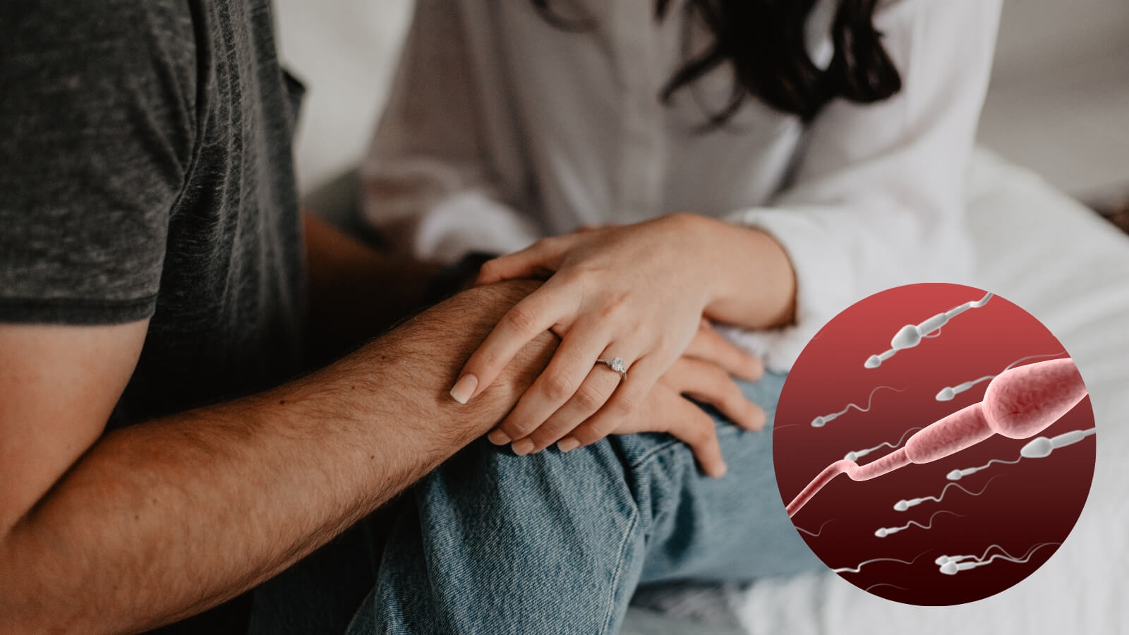 Wellman Conception giúp đàn ông cải thiện sức khỏe tinh trùng
