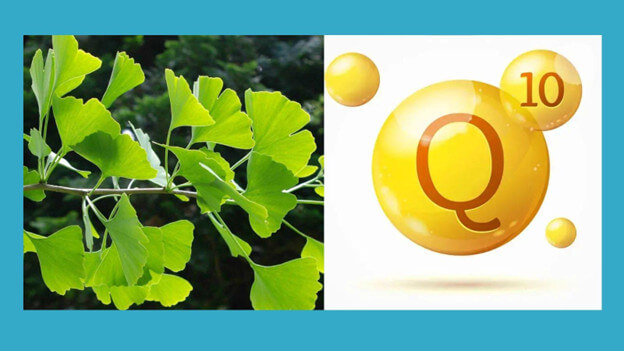 Thành phần chính của Vitatree Ginkgo Plus 6000mg