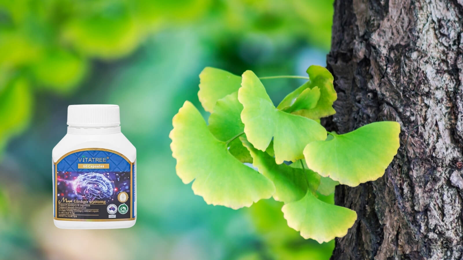 Vitatree Maxi Ginkgo 9500mg giúp tăng cường chức năng não bộ