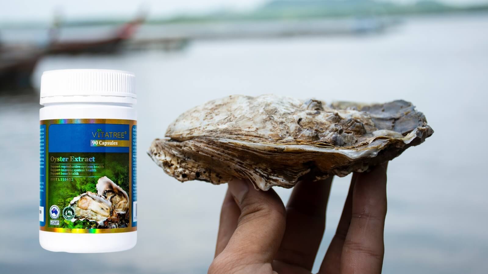 Vitatree Oyster Extract chiết xuất từ hàu Úc