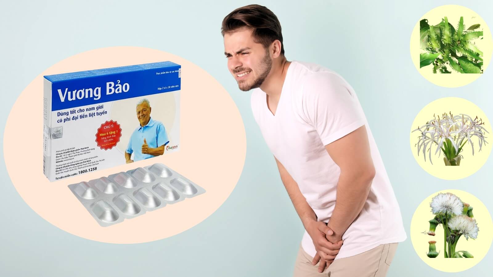 Thành phần chính của Vương bảo hộp 20 viên