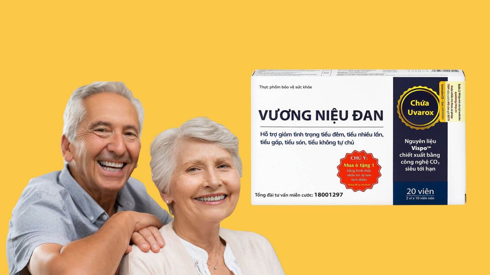 Công dụng ưu Việt của viên uống Vương Niệu Đan