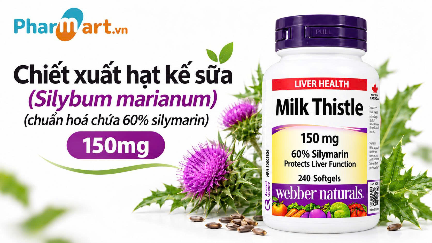 Webber Naturals Milk Thistle 150mg hỗ trợ cải thiện chức năng gan