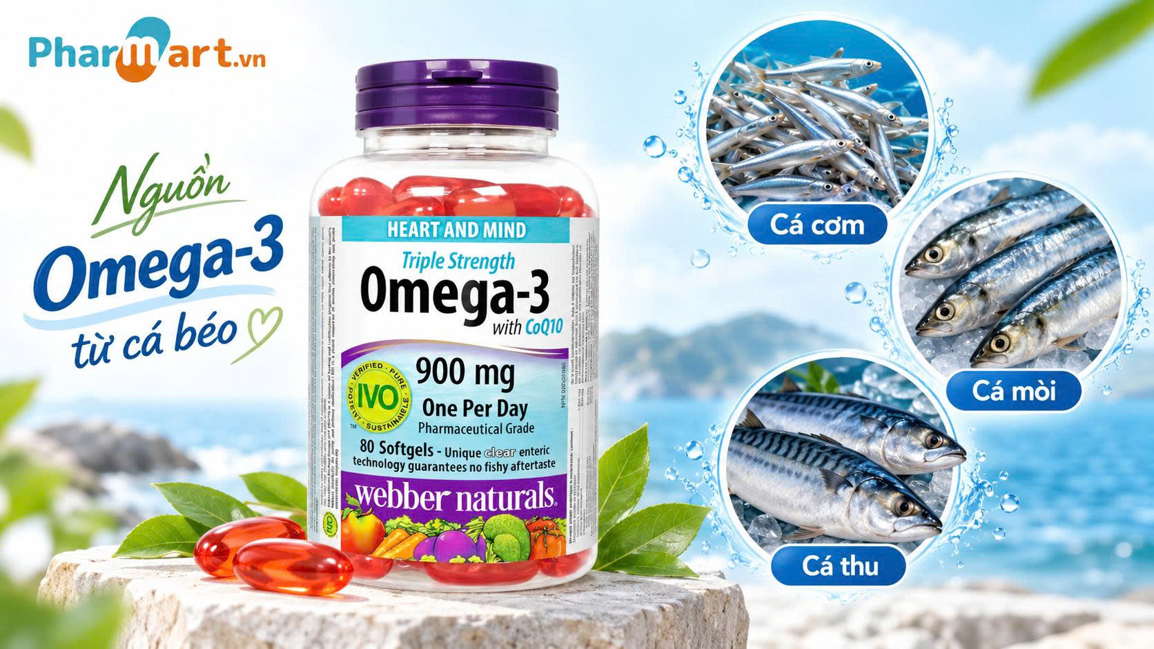 Webber Naturals Triple Strength Omega 3 + CoQ10 cung cấp dưỡng chất từ các loại cá béo