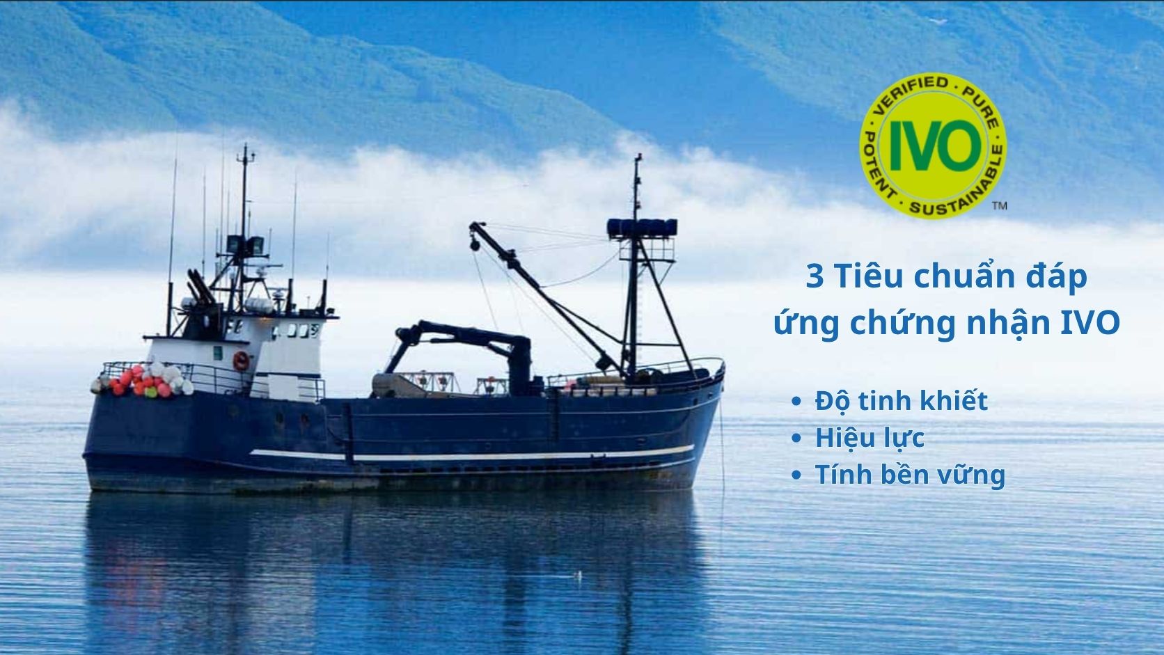 Sản phẩm đạt chứng nhận IVO đồng nghĩa đ&aacute;p ứng c&aacute;c ti&ecirc;u chuẩn cao về độ tinh khiết, hiệu lực v&agrave; t&iacute;nh bền vững với dầu c&aacute; Omega-3