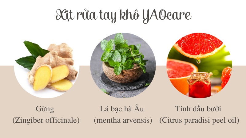 Thành phần xịt rửa tay khô YAOcare