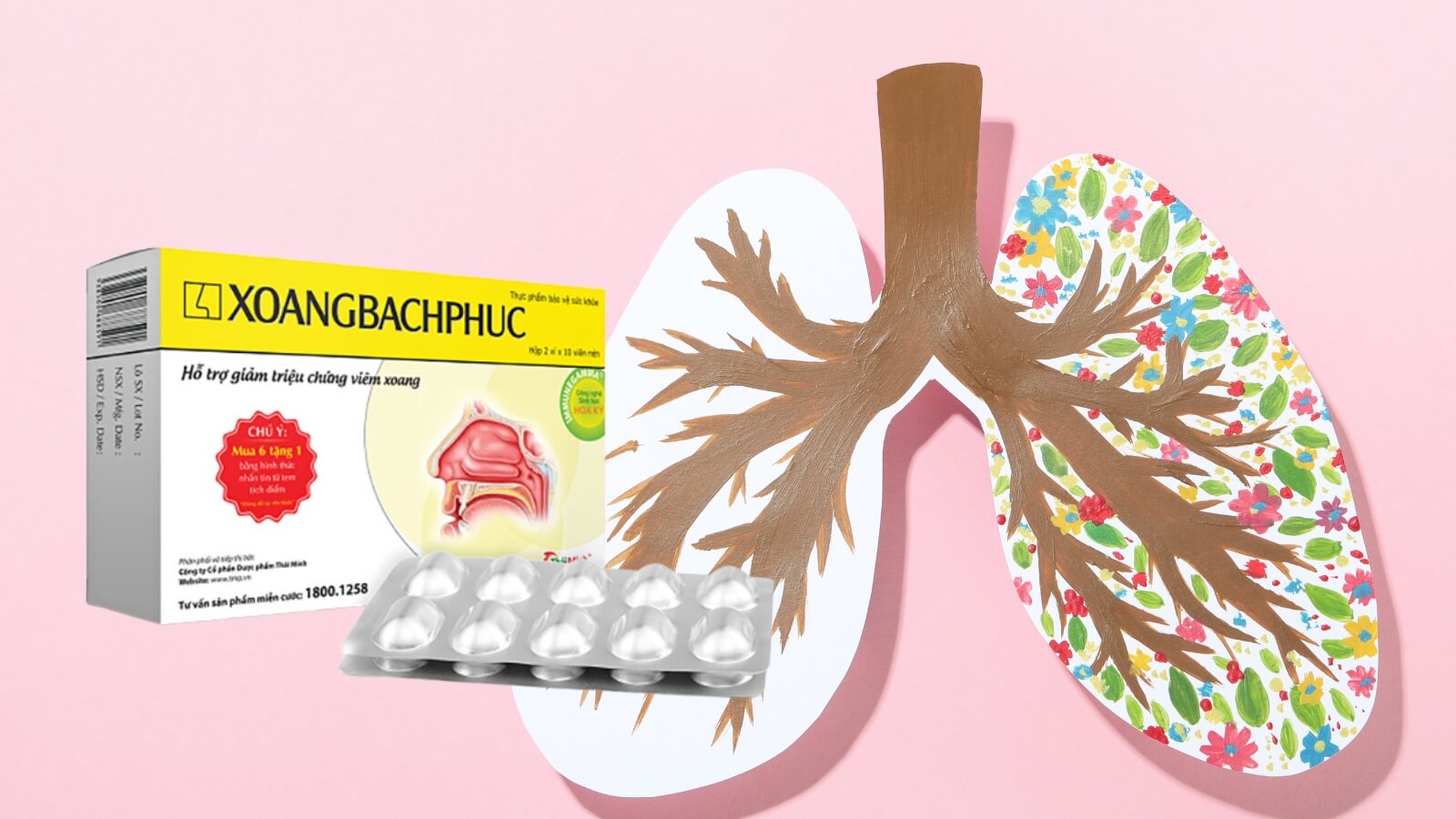 Xoang Bách Phục - Hỗ trợ giảm triệu chứng viêm xoang