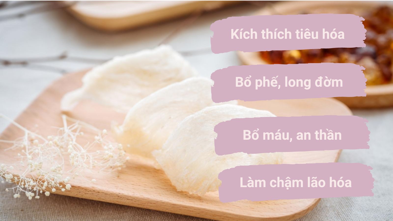 Tổ Yến rất có lợi cho sức khỏe