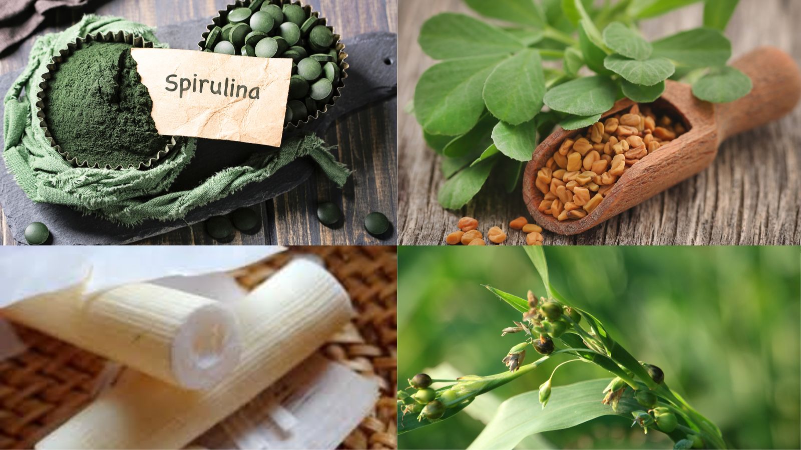 Thành phần chính trong viên uống Zentomilk